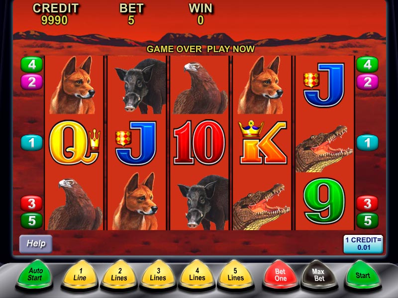 kangaroo poker machine